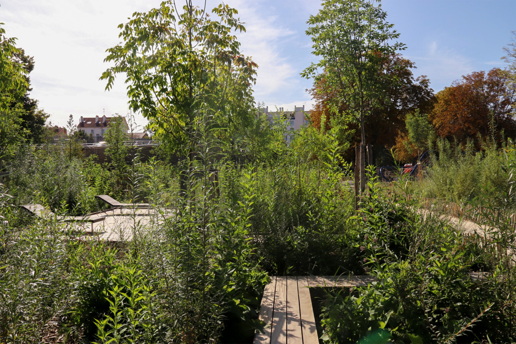 20_acte2paysage_Houilles parc Charles de Gaulle